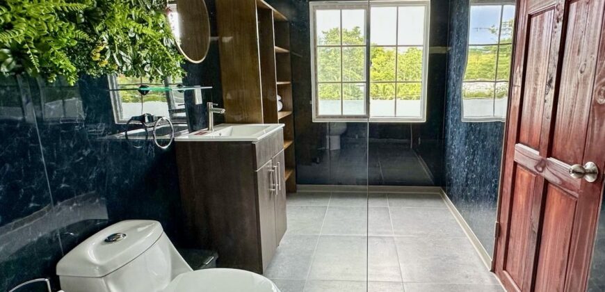 2-Bedroom Home with 3 Fully Furnished Apartments In Puerto Jimenez