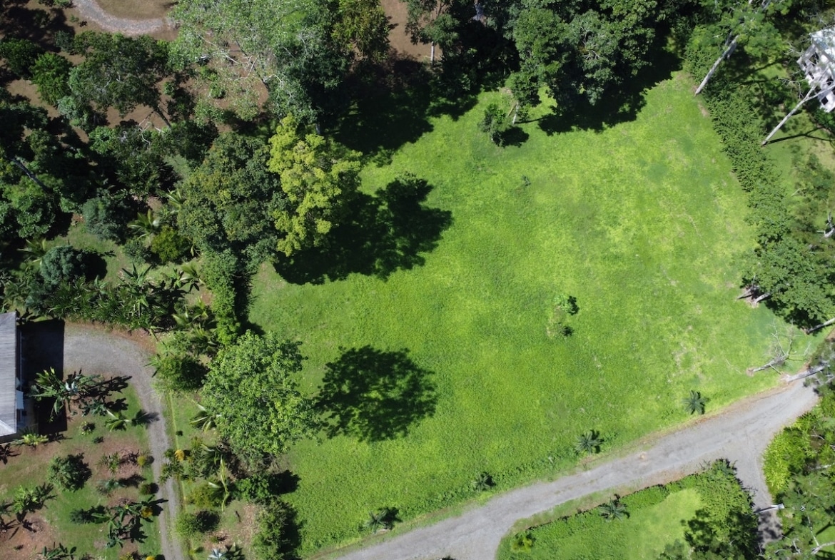 Buildable lot in tropical Osa Peninsula setting