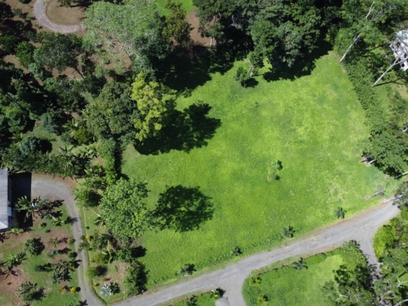 Buildable lot in tropical Osa Peninsula setting