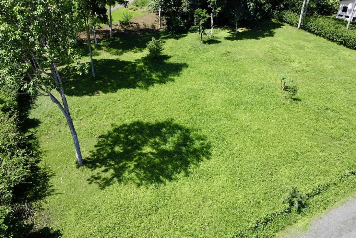 Tropical lot ready for development in Puerto Jiménez