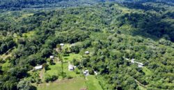 Duplex for Sale Osa Peninsula | 5 Acres in Private Costa Rica Community