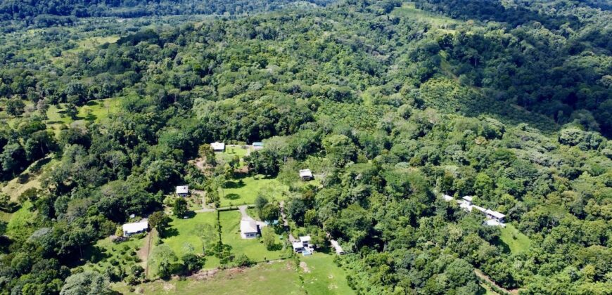 Duplex for Sale Osa Peninsula | 5 Acres in Private Costa Rica Community