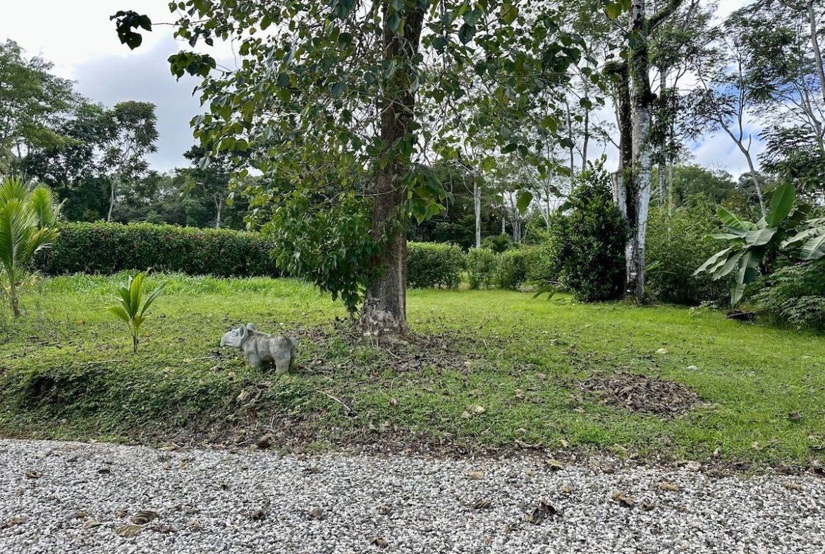 Coastal real estate parcel in Puerto Jiménez, Osa Peninsula