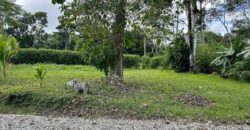 Duplex for Sale Osa Peninsula | 5 Acres in Private Costa Rica Community