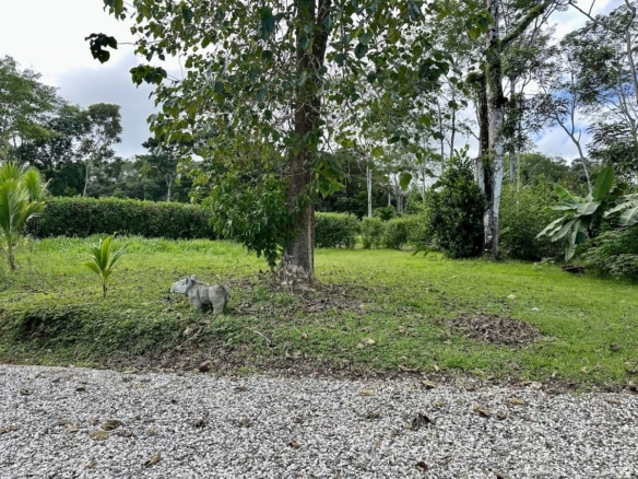 Coastal real estate parcel in Puerto Jiménez, Osa Peninsula