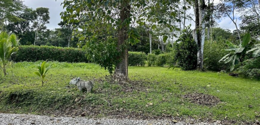 Duplex for Sale Osa Peninsula | 5 Acres in Private Costa Rica Community