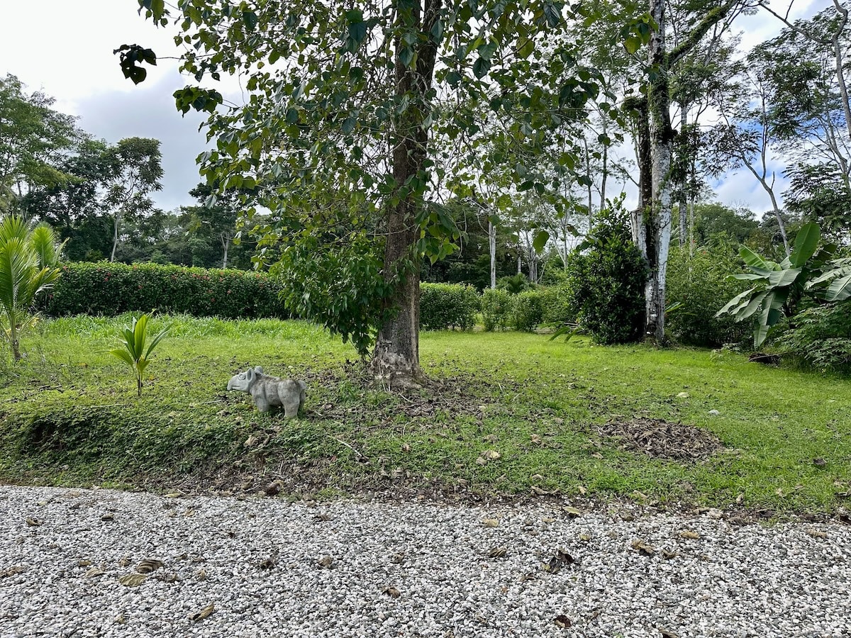 Coastal real estate parcel in Puerto Jiménez, Osa Peninsula