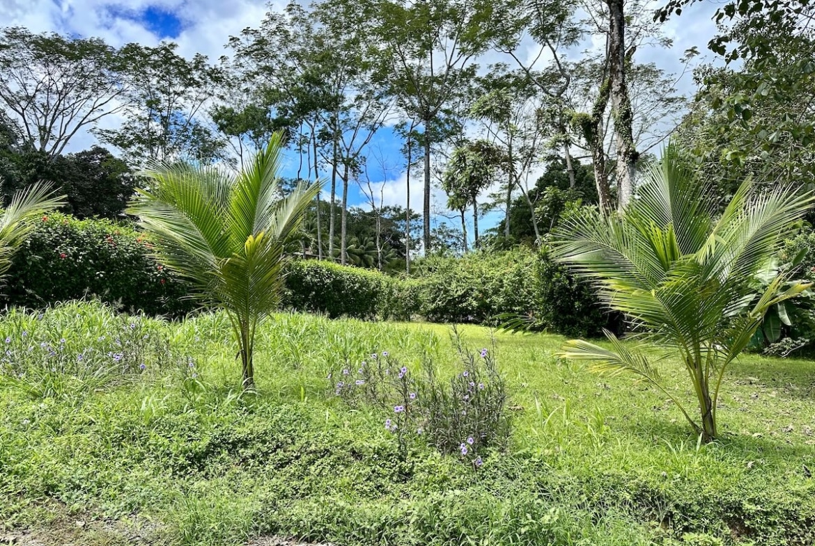 Buildable tropical lot in Osa Peninsula