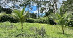 Duplex for Sale Osa Peninsula | 5 Acres in Private Costa Rica Community