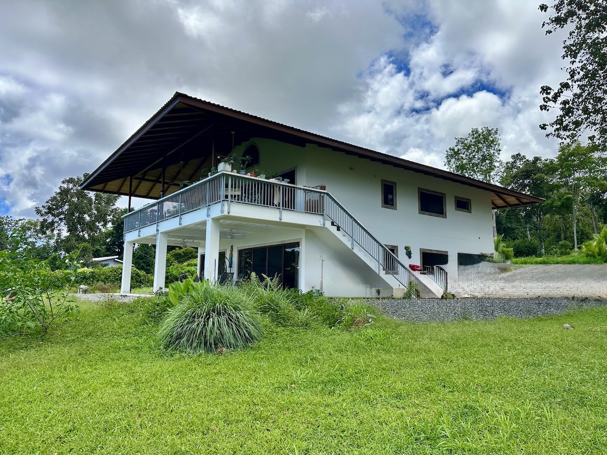 Modern duplex property surrounded by rainforest in the Osa Peninsula Costa Rica