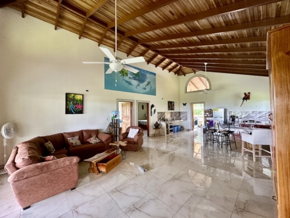 Contemporary living space with forest backdrop in private Osa Peninsula home for sale.