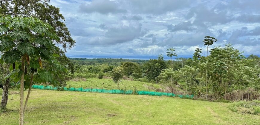 Duplex for Sale Osa Peninsula | 5 Acres in Private Costa Rica Community