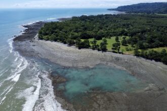 Spectacular Beachfront Property Osa Peninsula