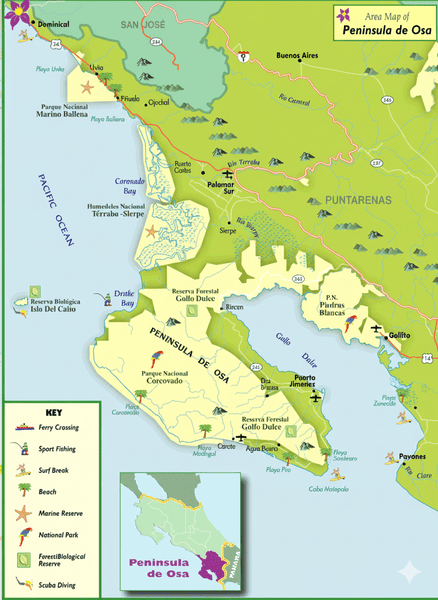 Strategic map for investing in Puerto Jiménez real estate