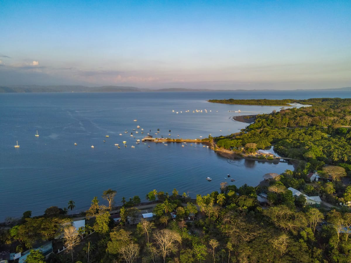 Experienced real estate agents in Puerto Jiménez providing expert land and property guidance in the Osa Peninsula.
