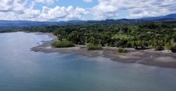 Osa Peninsula Turnkey Property Near Golfo Dulce Beach