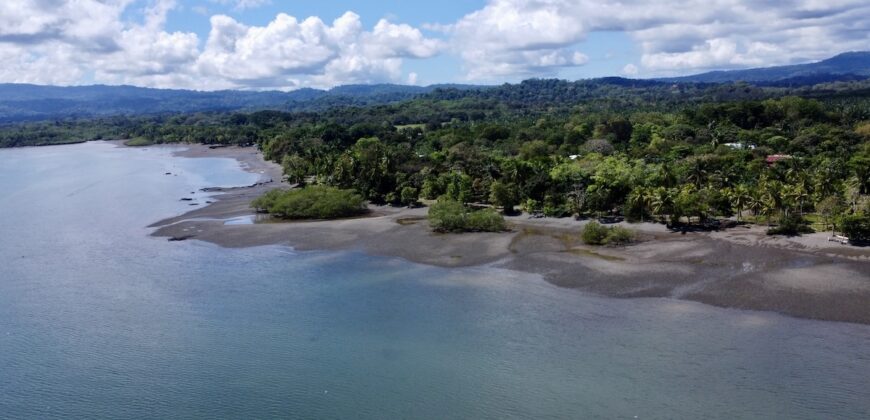 Osa Peninsula Turnkey Property Near Golfo Dulce Beach