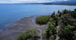 Osa Peninsula Turnkey Property Near Golfo Dulce Beach