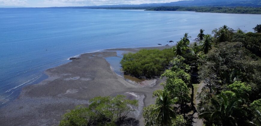 Osa Peninsula Turnkey Property Near Golfo Dulce Beach