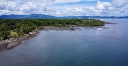 Osa Peninsula Turnkey Property Near Golfo Dulce Beach