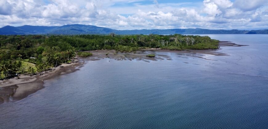 Osa Peninsula Turnkey Property Near Golfo Dulce Beach