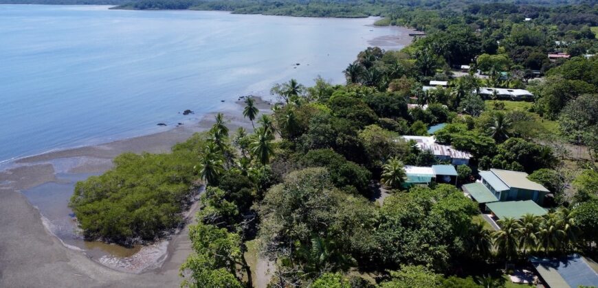 Osa Peninsula Turnkey Property Near Golfo Dulce Beach