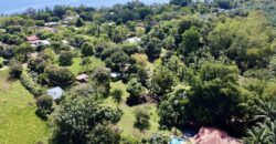 Osa Peninsula Turnkey Property Near Golfo Dulce Beach
