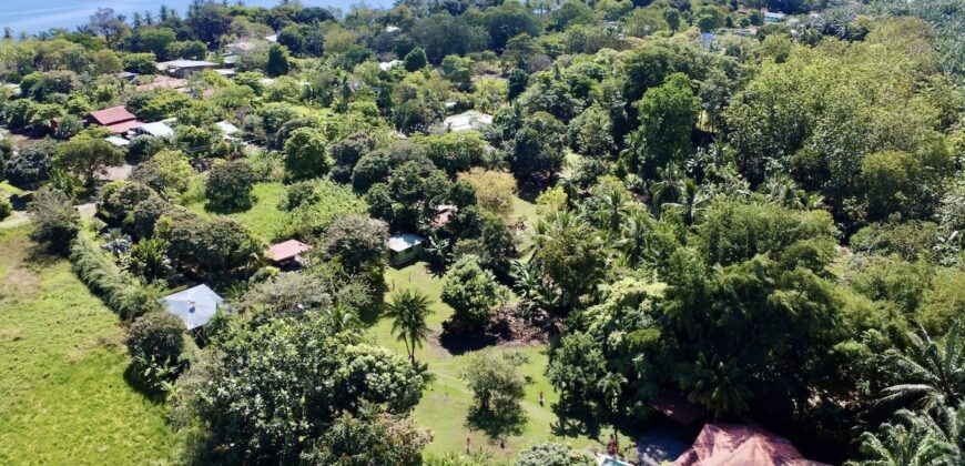 Osa Peninsula Turnkey Property Near Golfo Dulce Beach