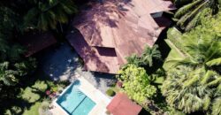 Osa Peninsula Turnkey Property Near Golfo Dulce Beach