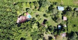 Osa Peninsula Turnkey Property Near Golfo Dulce Beach