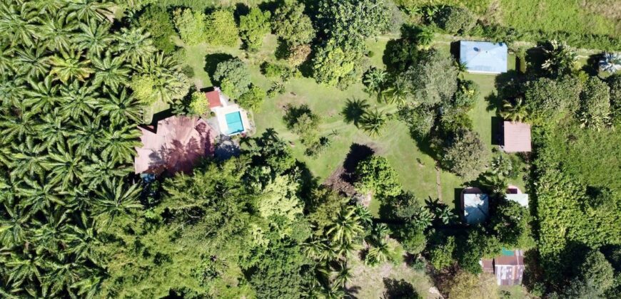 Osa Peninsula Turnkey Property Near Golfo Dulce Beach