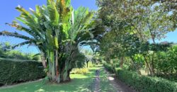 Osa Peninsula Turnkey Property Near Golfo Dulce Beach