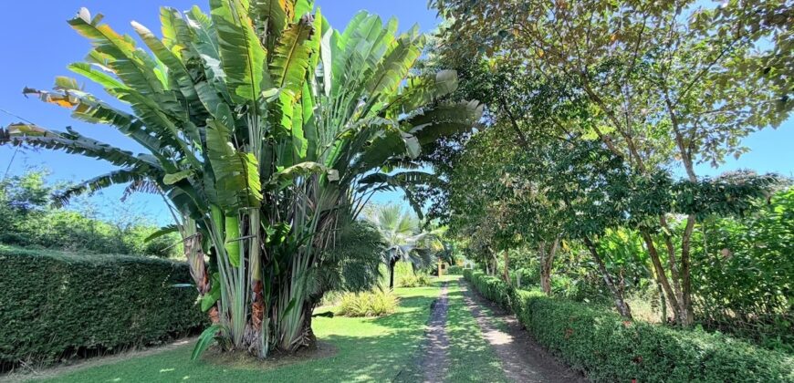 Osa Peninsula Turnkey Property Near Golfo Dulce Beach