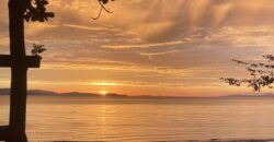 Osa Peninsula Turnkey Property Near Golfo Dulce Beach