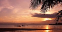 One-Bedroom and Studio Condo-Combo / Botanika Resort Osa Peninsula