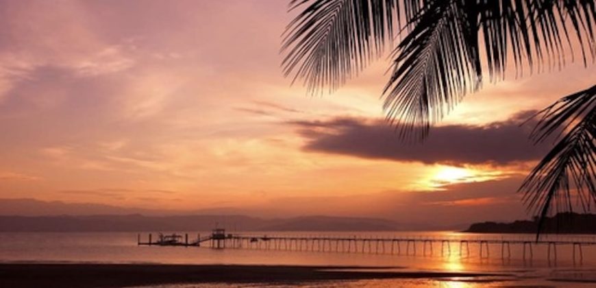 One-Bedroom and Studio Condo-Combo / Botanika Resort Osa Peninsula