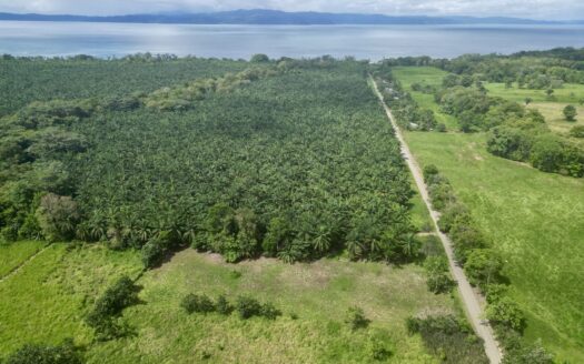 Titled Property for sale on the Osa Peninsula, Near The Golfo Dulce Coast.