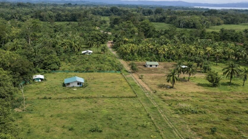 Aerial view of ready-to-build land near Puerto Jiménez Osa Peninsula — Cañaza lot with marked property boundary lines