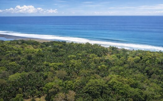 Property Near Carate Beach | 3.5 Hectares, Osa Peninsula