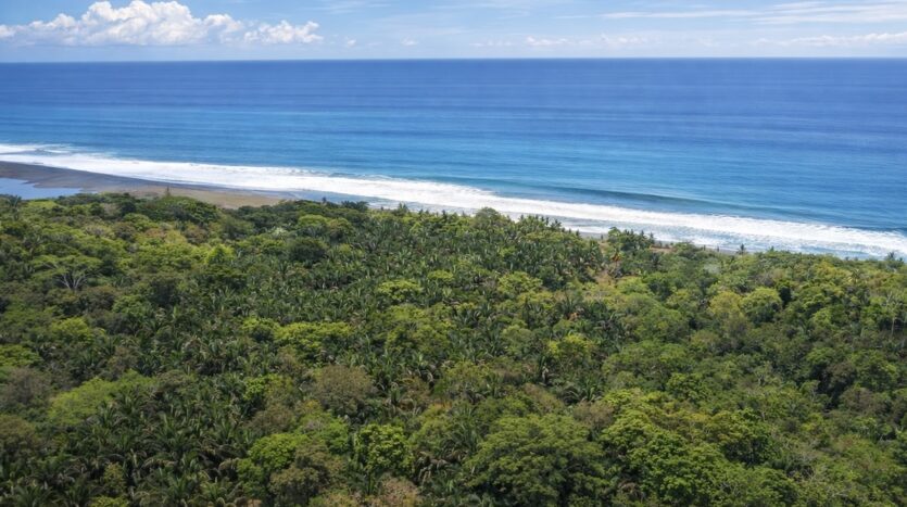 Carate beach property Osa Peninsula rainforest land 3.5 hectares 500 meters from Playa Carate